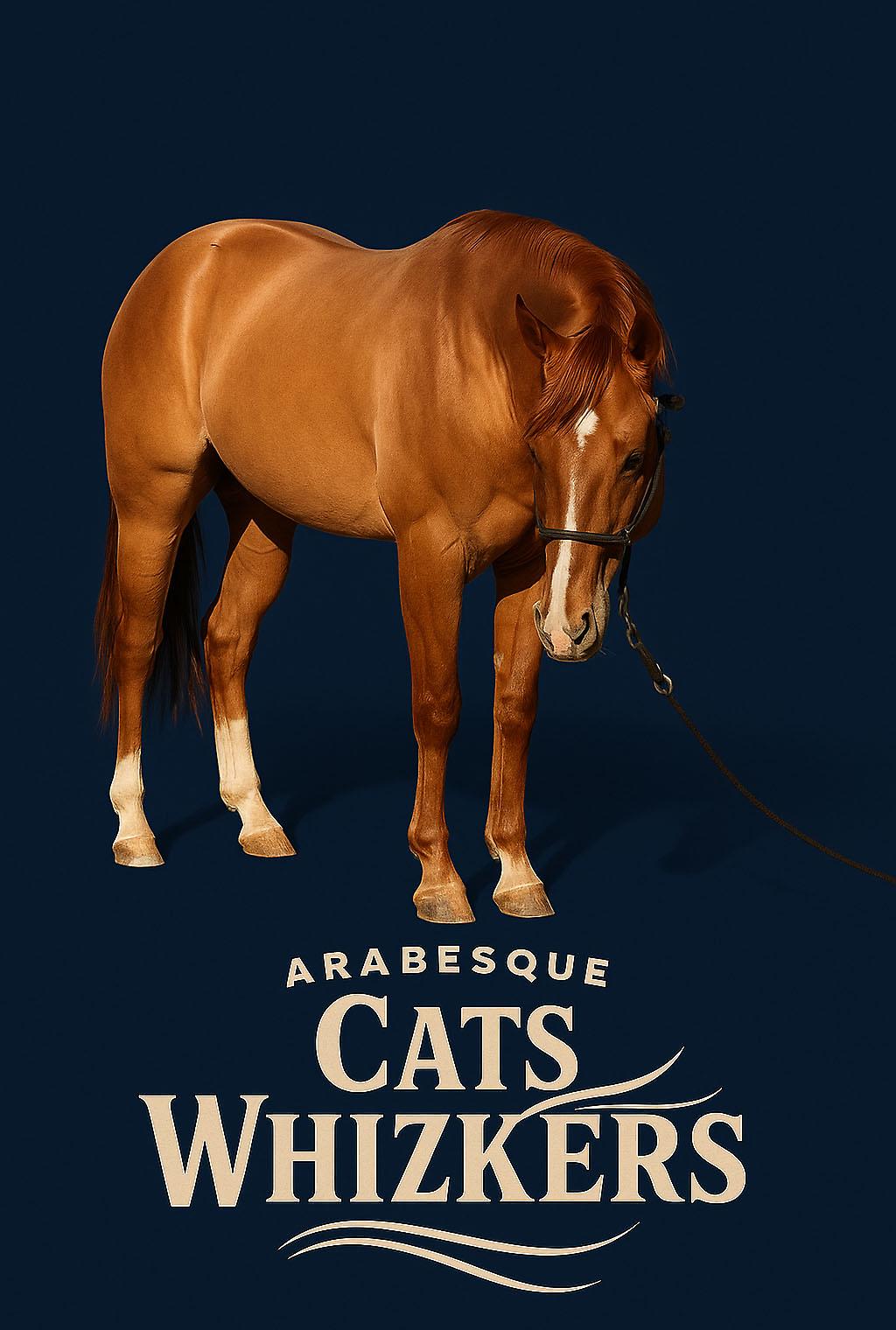 Arabesque Cats Whizkers